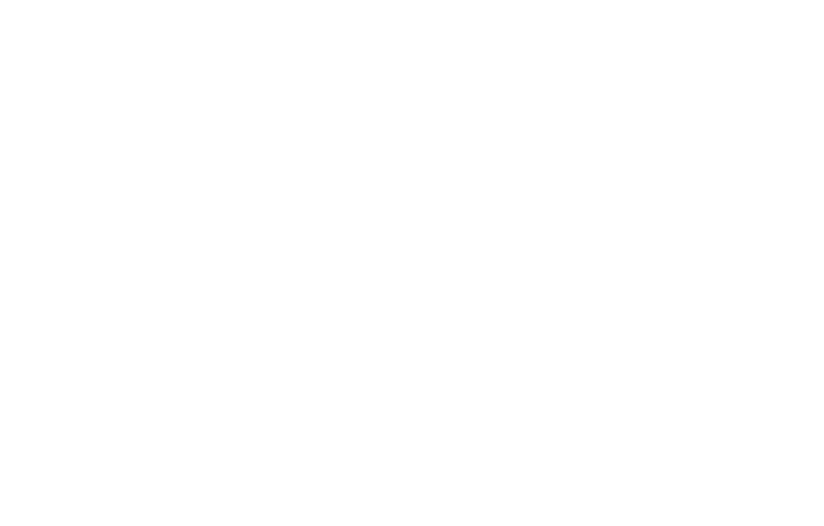 Hayner Racing Team Logo